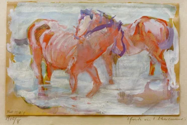 Chevaux dans le bain
